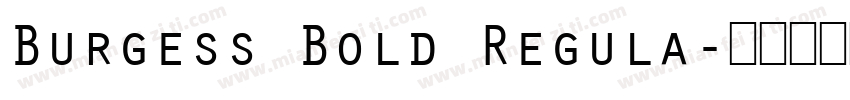 Burgess Bold Regula字体转换